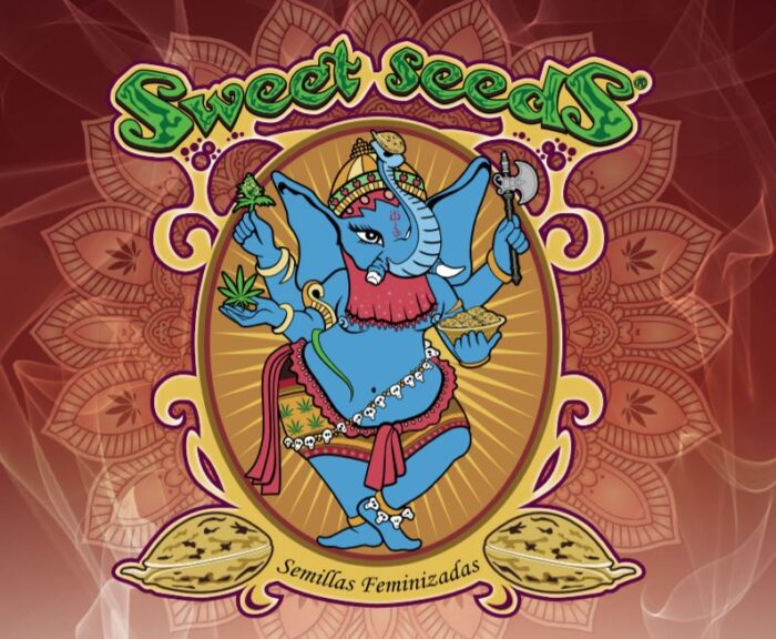 Sweet seeds Cream caramel xl Auto