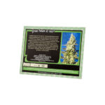 Sweet seeds green poison xl Auto