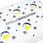 Apollo Evolution 6 180W Delight