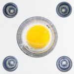 Apollo Evolution 6 180W Delight