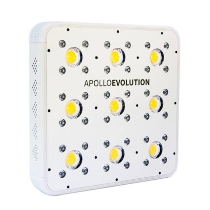 Apollo Evolution 9 280W Delight