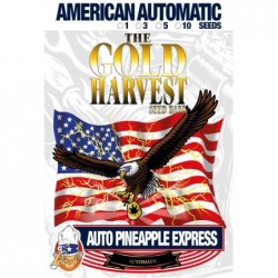 GOLD HARVEST AUTO PINEAPPLE EXPRESS