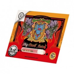 SWEET SEEDS BIG DEVIL XL AUTO (3+1 UDS) SWEET SEEDS BIG DEVIL XL AUTO (3+1 UDS)