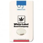 WHITE LABEL DOBLE BANANA KUSH FEM (3+1)