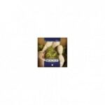 PYRAMID SEEDS COOKIES USA (1UD)