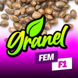 GREEN POISON F1 FAST VERSION FEMINIZADA A GRANEL
