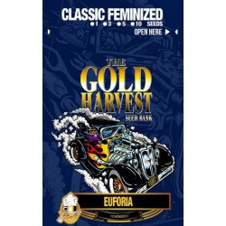 GOLD HARVEST EUFORIA