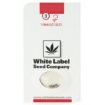 WHITE LABEL WHITE DIESEL HAZE AUTOMATIC (1+1)