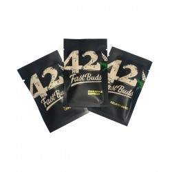 FAST BUDS CREAM COOKIES AUTO (1UD)