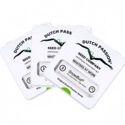 DUTCH PASSION FREDDY'S BEST (3UDS)