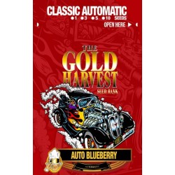 GOLD HARVEST AUTO BLUEBERRY