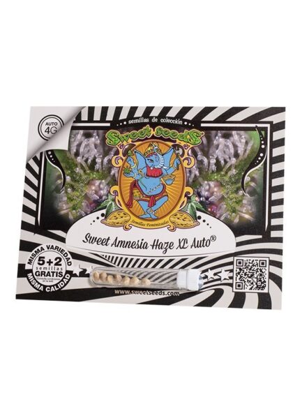 SWEET AMNESIA HAZE XL AUTO X5+2-SWEET SEEDS