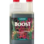 BOOST ACCELERATOR 1LT-CANNA