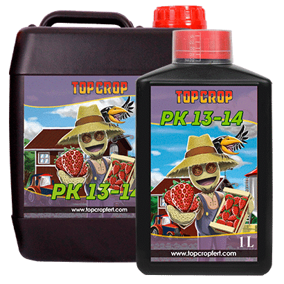 PK 13/14 1LT-TOP CROP