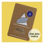 NORTHERN LIGHTS AUTO X50-PYRAMID SEEDS