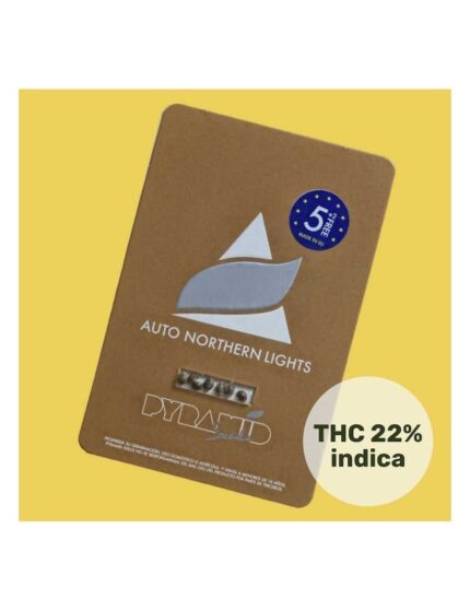 NORTHERN LIGHTS AUTO X50-PYRAMID SEEDS