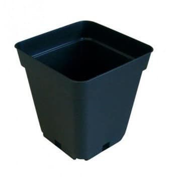 MACETA CUADRADA NEGRA 5LT