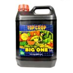 BIG ONE 5LT-TOP CROP