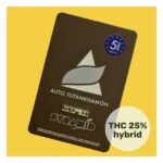 TUTANKHAMON AUTO X50-PYRAMID SEEDS