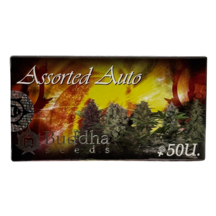 ASSORTED AUTO X50-BUDDHA SEEDS
