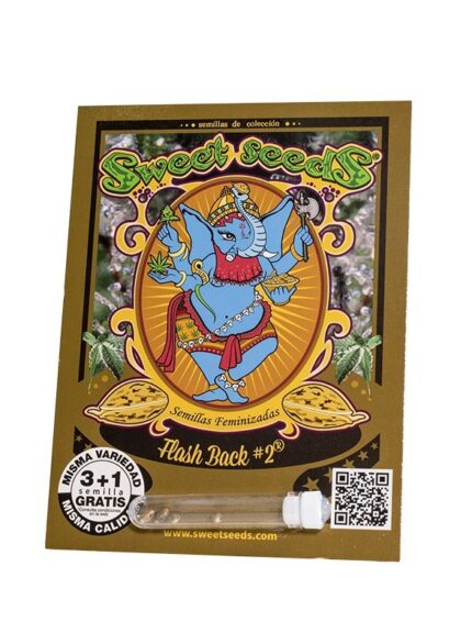 FLASH BACK 2 FEM X3+1 -SWEET SEEDS