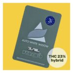 WHITE WIDOW AUTO X50-PYRAMID SEEDS