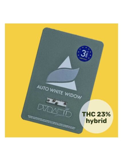 WHITE WIDOW AUTO X50-PYRAMID SEEDS