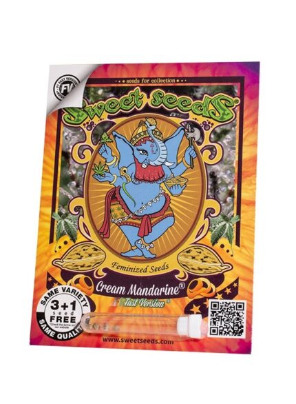 CREAM MANDARINE F1 FEM X25-SWEET SEEDS