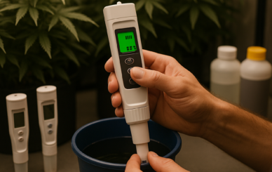 Cómo identificar y corregir errores de pH y EC para recuperar plantas: calibración, rangos recomendados, correcciones paso a paso y consejos prácticos para evitar pérdidas.