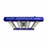 QUANTUM LITE 160W-DELIGHT