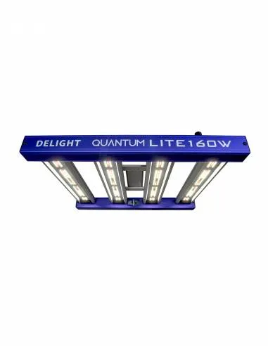 QUANTUM LITE 160W-DELIGHT