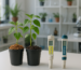Compara coco y tierra para pasar a hidroponía pasiva con Canna Professional Plus: retención de agua, oxigenación, pH, EC y manejo real del riego.