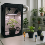Revisa qué incluye un Kit Indoor Full 60x60, para qué tipo de cultivo sirve y qué debes considerar antes de comprarlo si estás empezando.