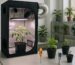 Revisa qué incluye un Kit Indoor Full 60x60, para qué tipo de cultivo sirve y qué debes considerar antes de comprarlo si estás empezando.
