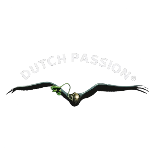 Dutch Passion